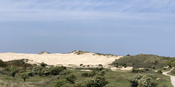 Kennemerduinen.jpeg