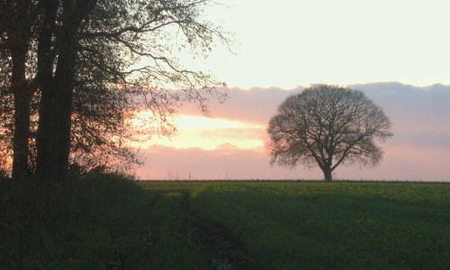 Marskramerpad_etappe_04.JPG