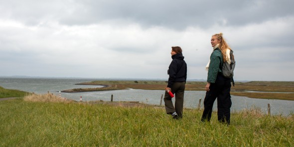 Oosterscheldepad 3 liggend.jpg