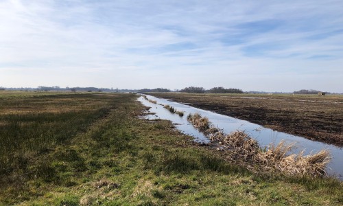 zoddenpad rading2.jpg