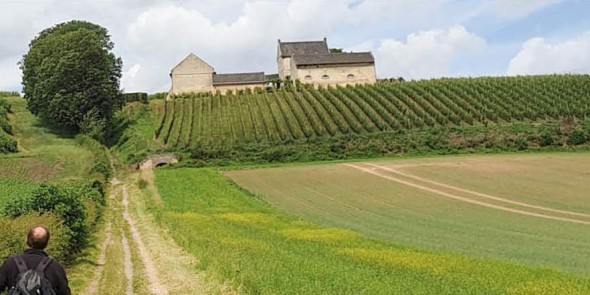 De_mooiste_Wijnwandelingen.jpg