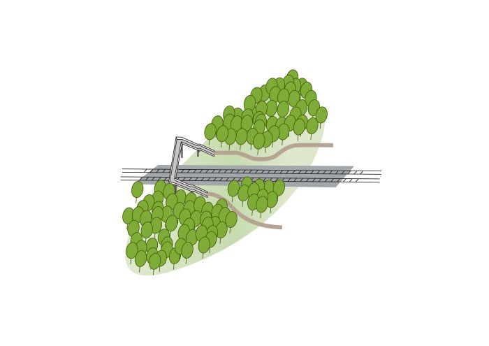 Projectschets voetbrug