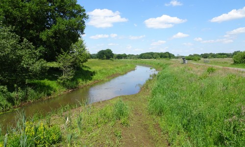 Drentsche Aa beek.JPG