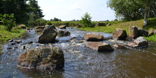 Westerwolde_Ruiten_Aa_1.jpg