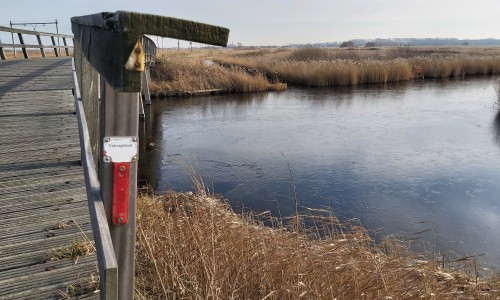 Markering op het Trekvogelpad © Breg Schoen