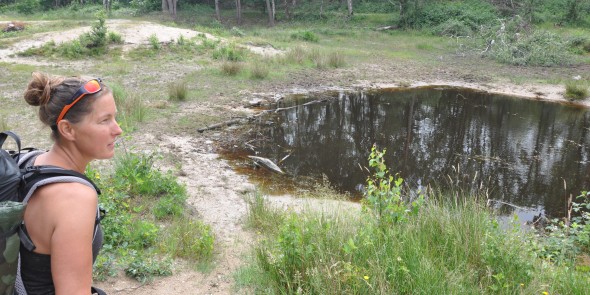Lobke Dijkstra-3.JPG
