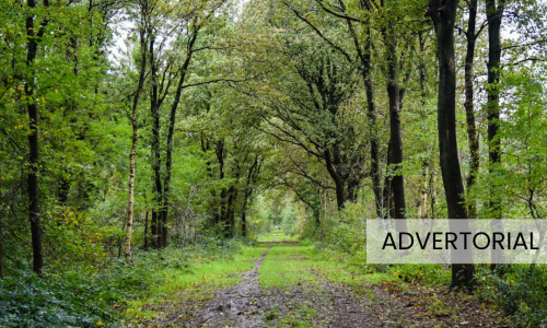 Wandelen_in_de_lente (8).png