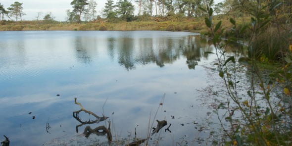 Grenslandpad_etappe_16.jpg