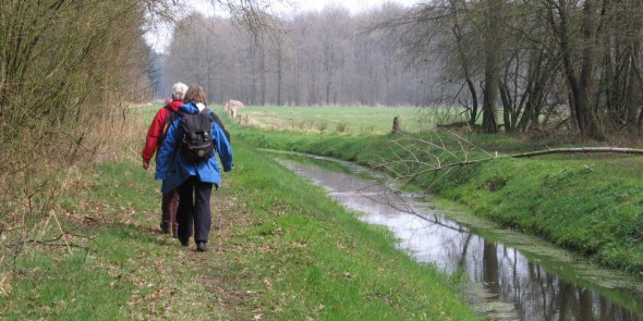 schouwpad-onderhoudspad_20060416 4 Voorstonden bij Brummen_hvdv.JPG