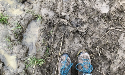wandelschoenen in modder.jpeg
