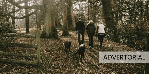 wandelen_met_de_hond.png