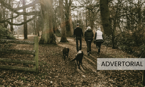 wandelen_met_de_hond.png