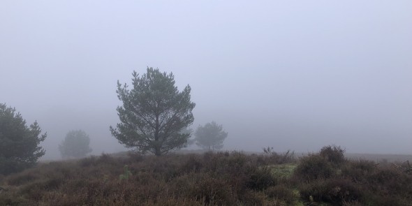 uitzicht mookerheide mist.jpg