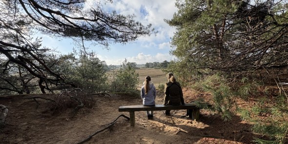 NP Hoge Veluwe 4-2 © Ernst Koningsveld.jpg