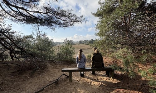 NP Hoge Veluwe 4-2 © Ernst Koningsveld.jpg