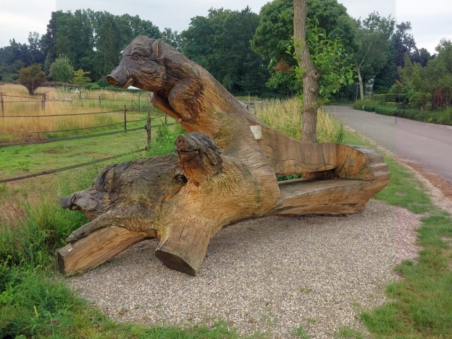 2024-07-27 Zwijnebank Milsbeek © Ton Hartman
