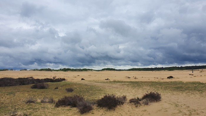 nationaal_park_loonse_en_drunense_duinen_2