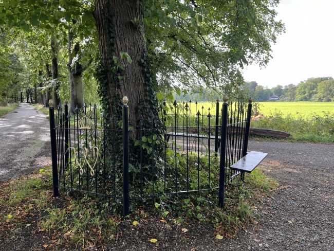 2024-09-13 Spanderswoud Wilhelminaboom nabij Trekvogelpad © Ernst Koningsveld