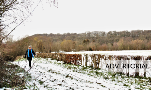 Limburg - Luuk Gijselhart.png