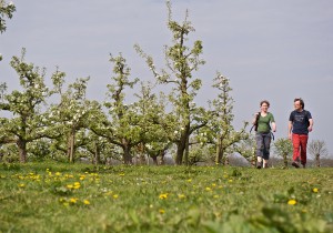 Wandelaars_bij_boomgaard.jpg