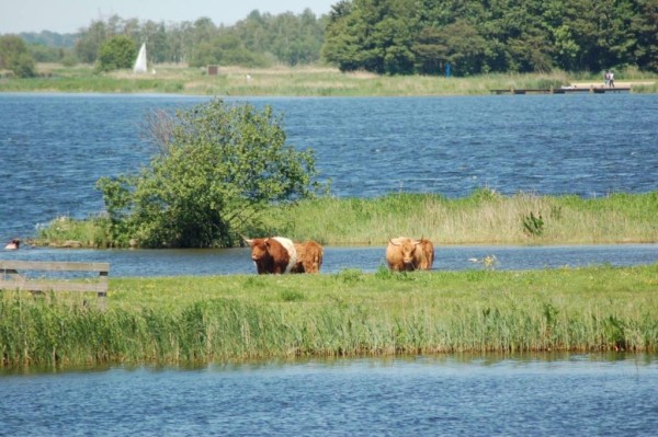 Waterrijk Waterland en Twiske