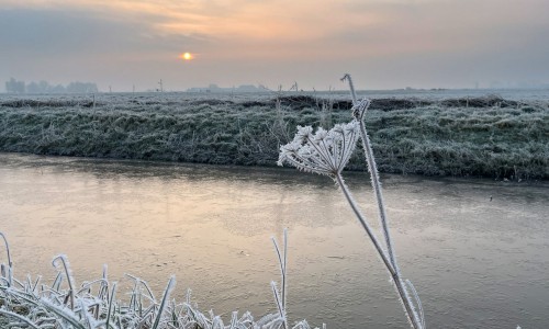 2025-02-03 Elfstedenpad etappe 2 - 1.jpg