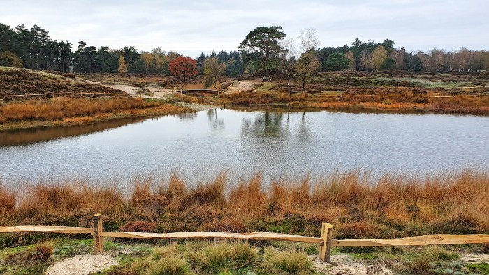NS-wandeling Utrechtse Heuvelrug