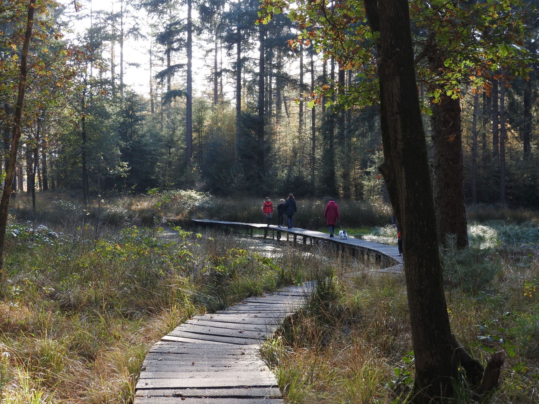 lippenhuisterheide2.JPG