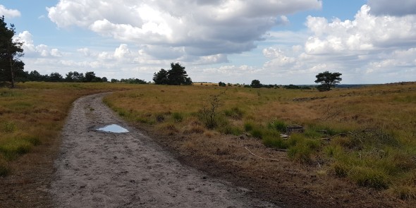 Veluwe_zwerfpad_etappe_10.jpg
