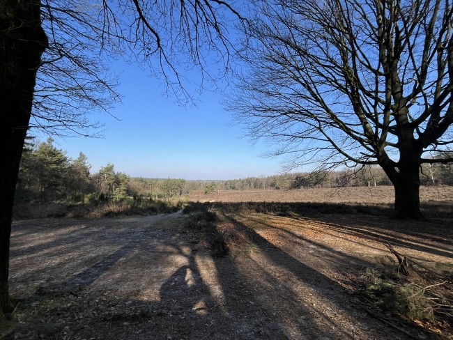 Uitzicht vanaf de Elsterberg © Ernst Koningsveld