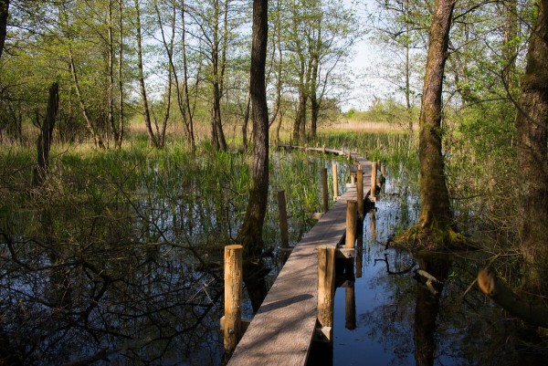 Petgatenpad Het Groninger Landschap