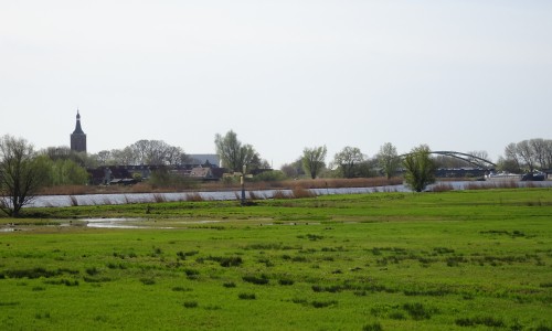 Zicht op Hasselt en het Zwarte Water.JPG