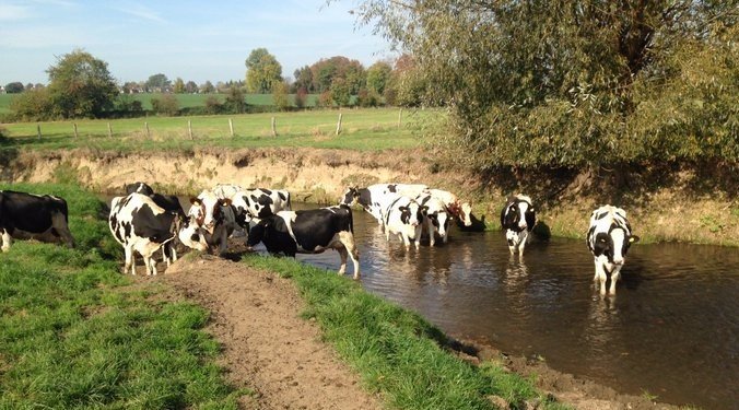 pootje baden op het Krijtlandpad