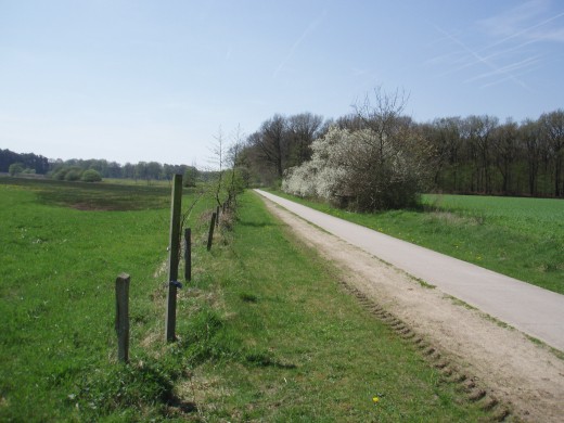 pieter kapteijn rondje vecht4.JPG