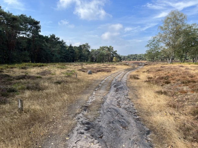 Onverhard wandelen, zuidwest Veluwe © Ernst Koningsveld