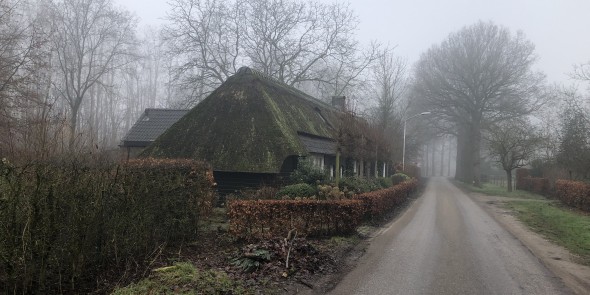 mist boerderij brabant.jpg