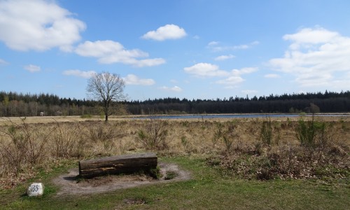 Zicht op Grolloërveen.JPG