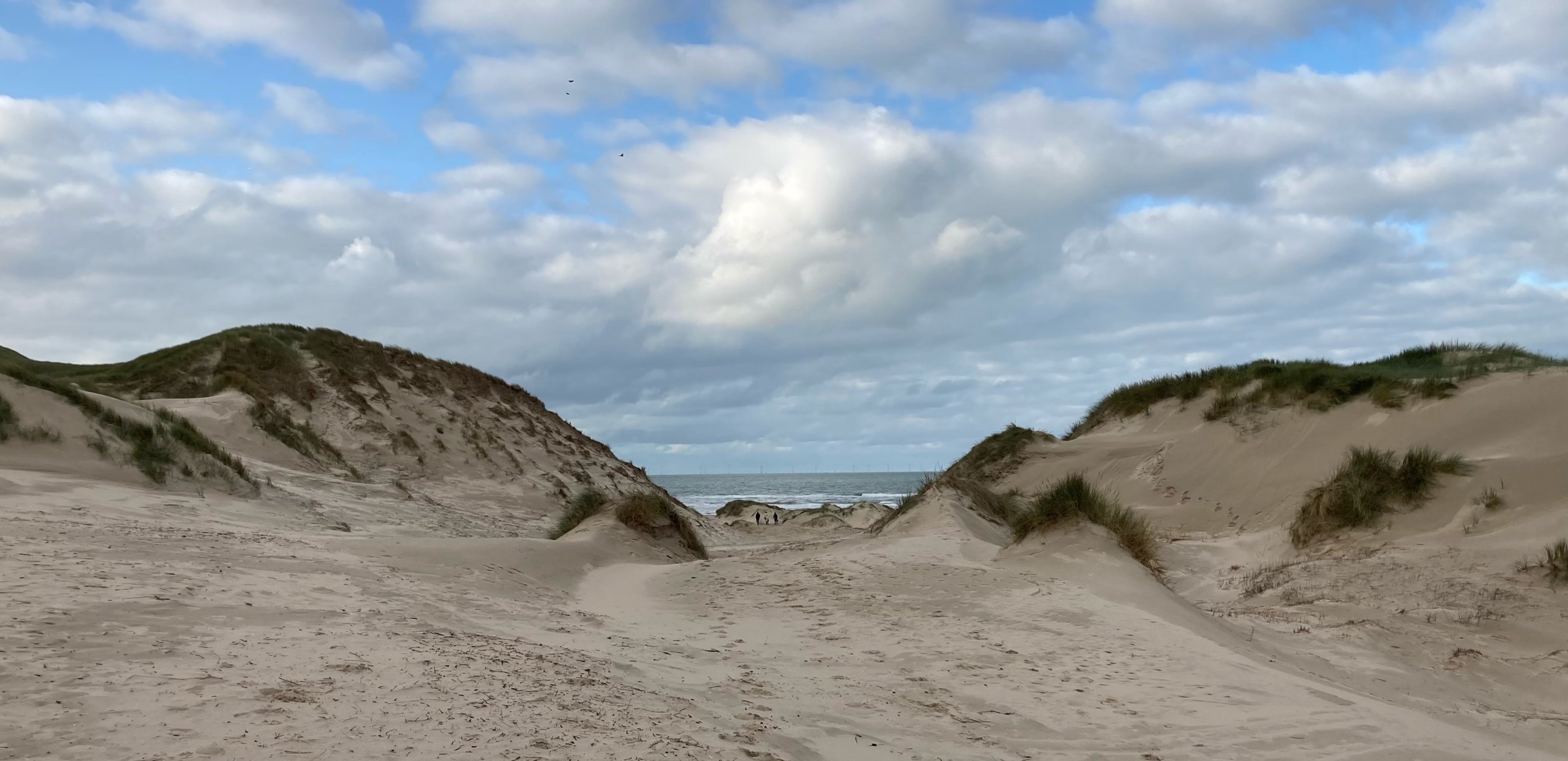 kustpad ter hoogte van egmond -bergen.jpg