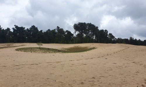 nationaal_park_loonse_en_drunense_duinen_1.jpg