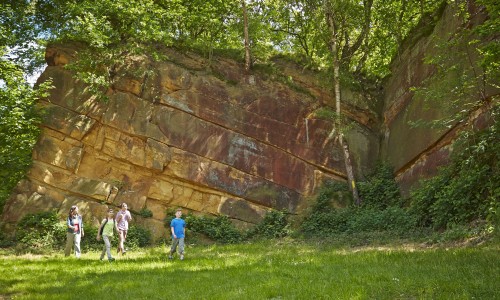 Wandelen_op_het_Podragristenpad_Grafschaft-Bentheim_Tourismus_2000.jpg