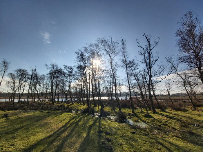 Grasland en bomen in Natura 2000 gebied © Breg Schoen