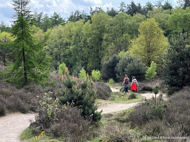 Wandeldate (1) © Ernst Koningsveld