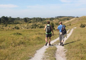 Kennemerduinen