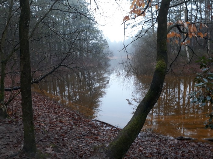 marskramerpad bosvijver afrt