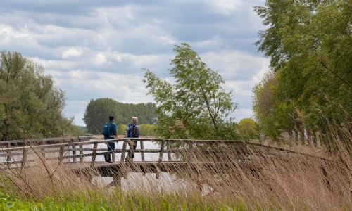 Biesboschpad Esther Kuipers Photography -26.jpg