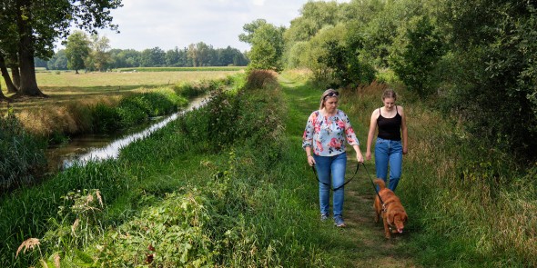 KempenBroek hoofdfoto 3 © Regionaal Landschap Kempen en Maasland.jpg