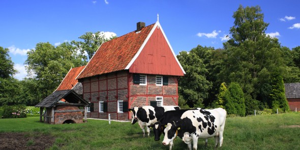 Scholtenpad.JPG