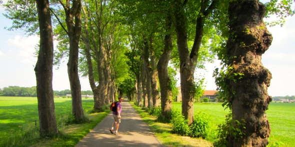 wandelaar blog Ringlaan De Glind foto Jolanda Denekamp.jpg