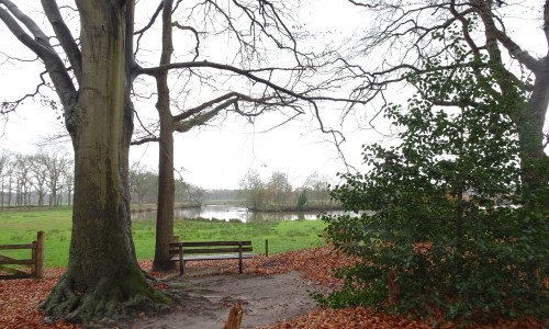 Overijsselse Vecht bij Vilsteren.JPG