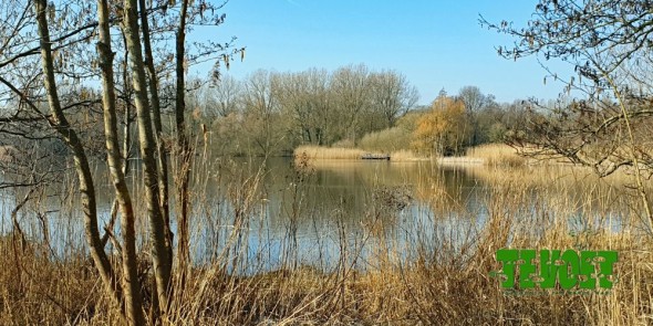 gaasperplas.png